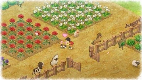Doraemon Story of Seasons SWITCH