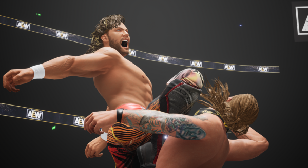 All Elite Wrestling: Fight Forever PS4
