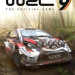 Wrc 9 The Oficial Video Game  Switch