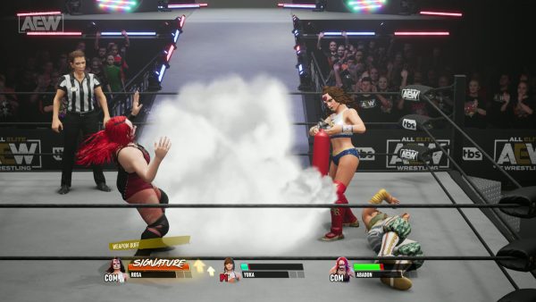 All Elite Wrestling: Fight Forever PS4