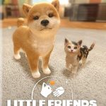 Little Friends Dogs and Cats SWITCH