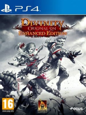 Divinity: Original Sin Enhanced Edition Ps4