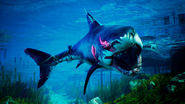 Maneater APEX Edition SERIES X/S - XBOX ONE