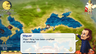 Neo Atlas 1469 SWITCH