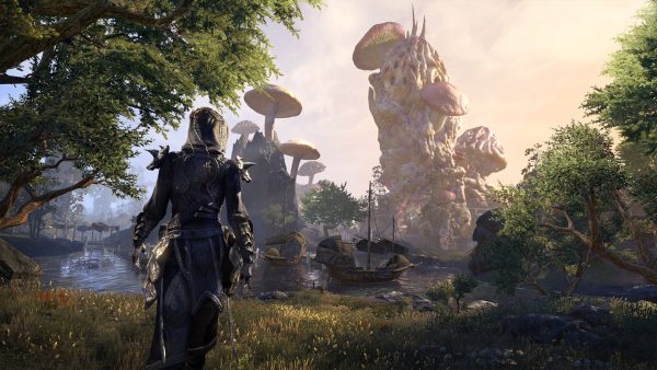 The Elder Scrolls Online Summerse PS4