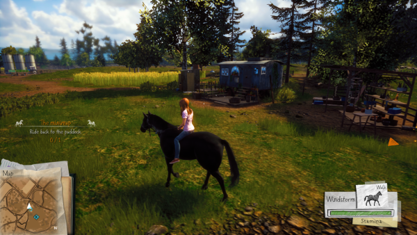 Windstorm: Start of a Great Friendship PS4