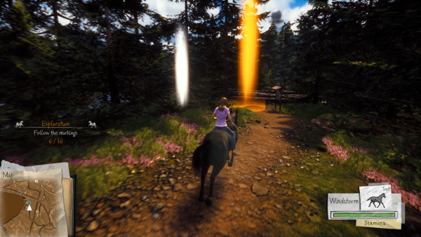 Windstorm: Start of a Great Friendship PS4