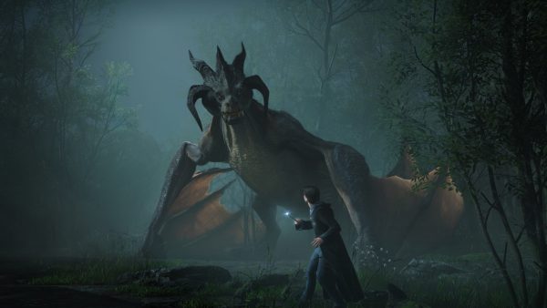 Hogwarts Legacy - Collector´s Edition PS4