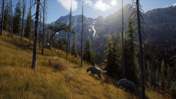 Way of the Hunter SERIES X/S - XBOX ONE