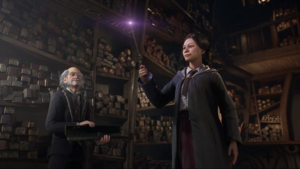 Hogwarts Legacy - Collector´s Edition PS4