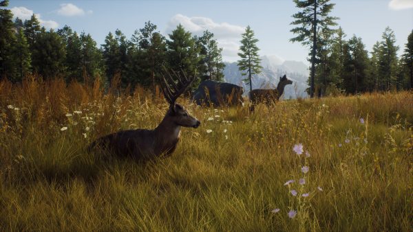 Way of the Hunter SERIES X/S - XBOX ONE