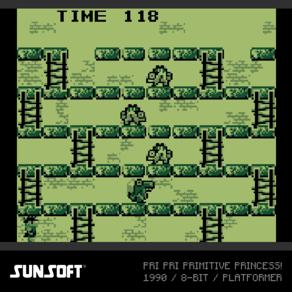 Cartucho Sunsoft Collection 2