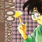 Detective Conan Kanzenban Nº15