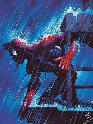 El Asombroso Spiderman Nº29 (Nº238)