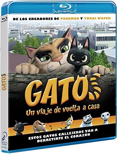 Gatos, un Viaje de Vuelta a Casa BR