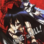 Akame ga Kill Box 2 BR
