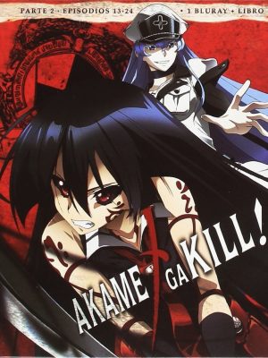 Akame ga Kill Box 2 BR