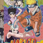 Naruto Box 8 DVD