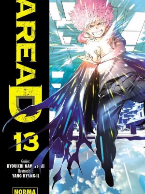Area D Nº13