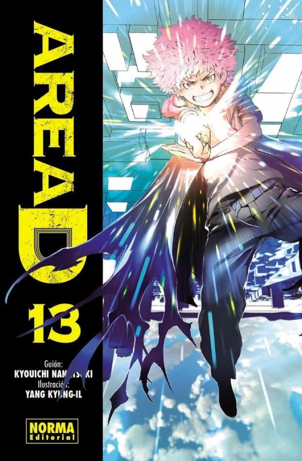 Area D Nº13