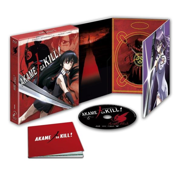 Akame ga Kill Box 1 BR