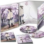 Quiero Comerme tu Pancreas Edicion Coleccionista BR