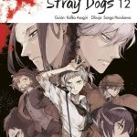 Bungou Stray Dogs Nº12