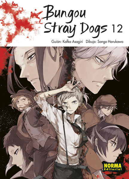Bungou Stray Dogs Nº12