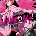 Akame Ga Kill Nº02