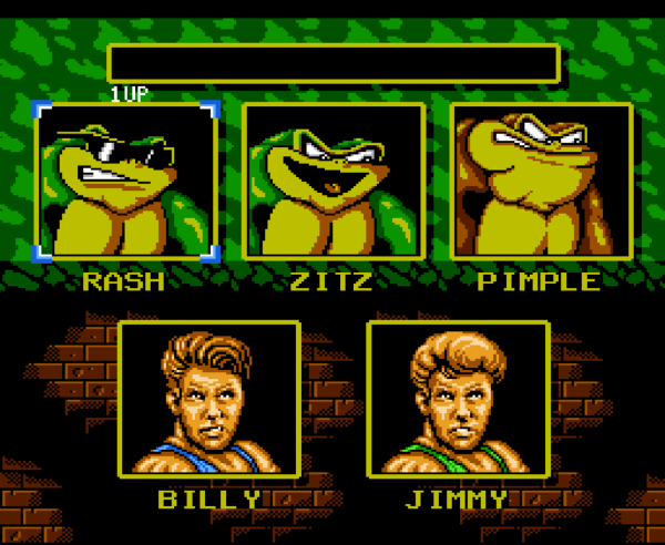 Battletoads & Double Dragon NES