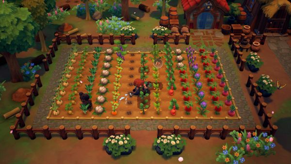 Fae Farm SWITCH