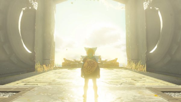 The Legend of Zelda: Tears of the Kingdom SWITCH