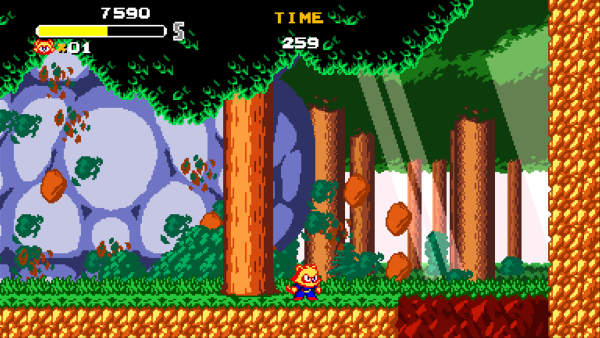 Tanuki Justice SWITCH