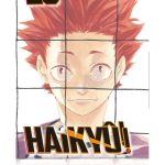 Haikyû!! Nº 20
