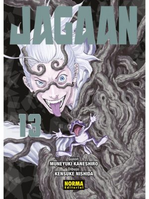 Jagaan Nº13