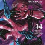 Jujutsu Kaisen Nº14