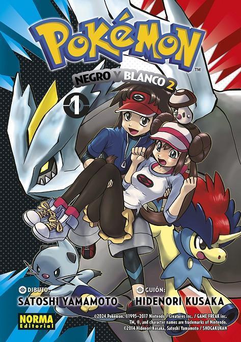 Pokemon Nº31 Negro y Blanco 2 Nº01
