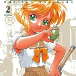 GunSmith Cats Nº02 de 04