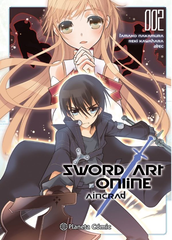Sword Art Online Aincrad Nº2