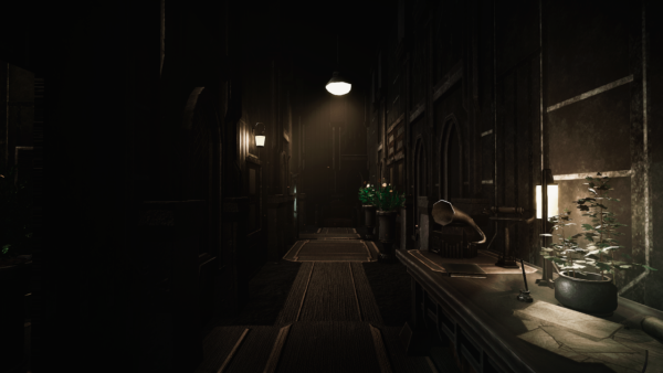 The Silent Swan  PS5