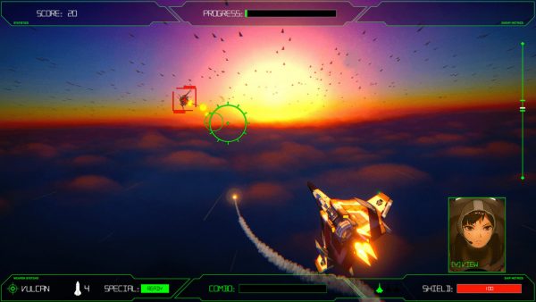 Rogue Flight PS5