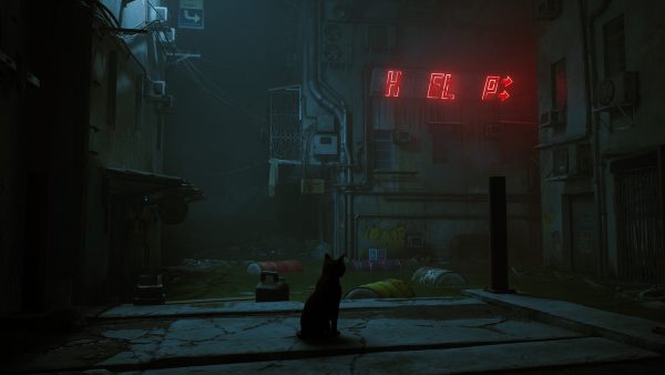 Stray SWITCH