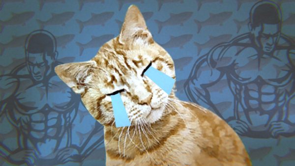 Ultra Mega Xtra Party Challenge SWITCH