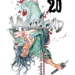 Vagabond Nº20