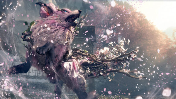 Wild Hearts S SWITCH 2