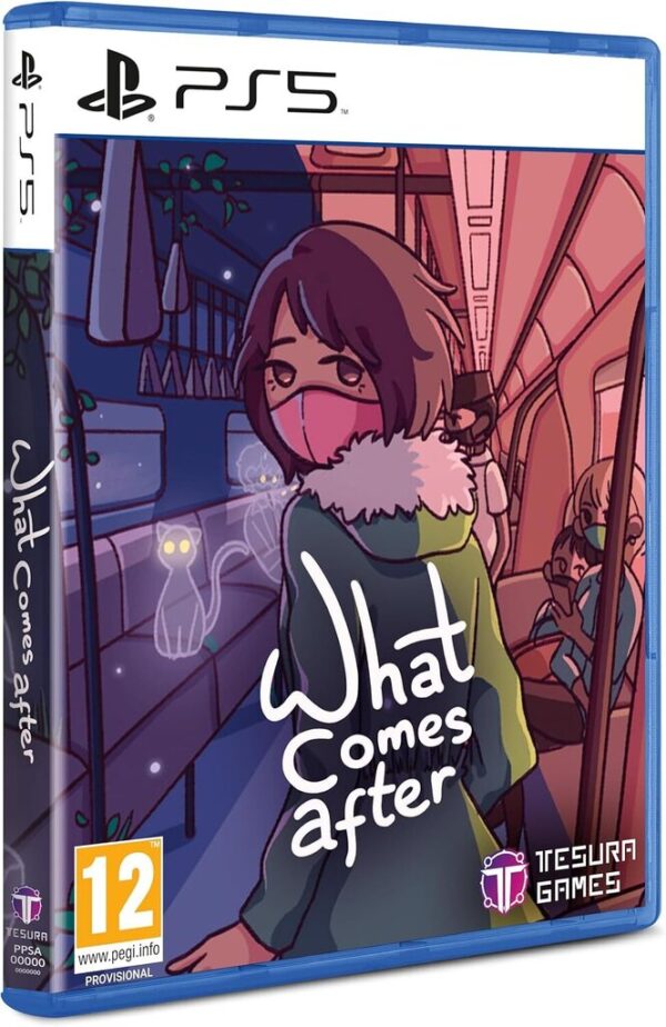 What Comes After PS5