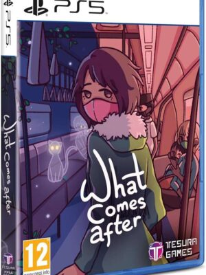 What Comes After PS5