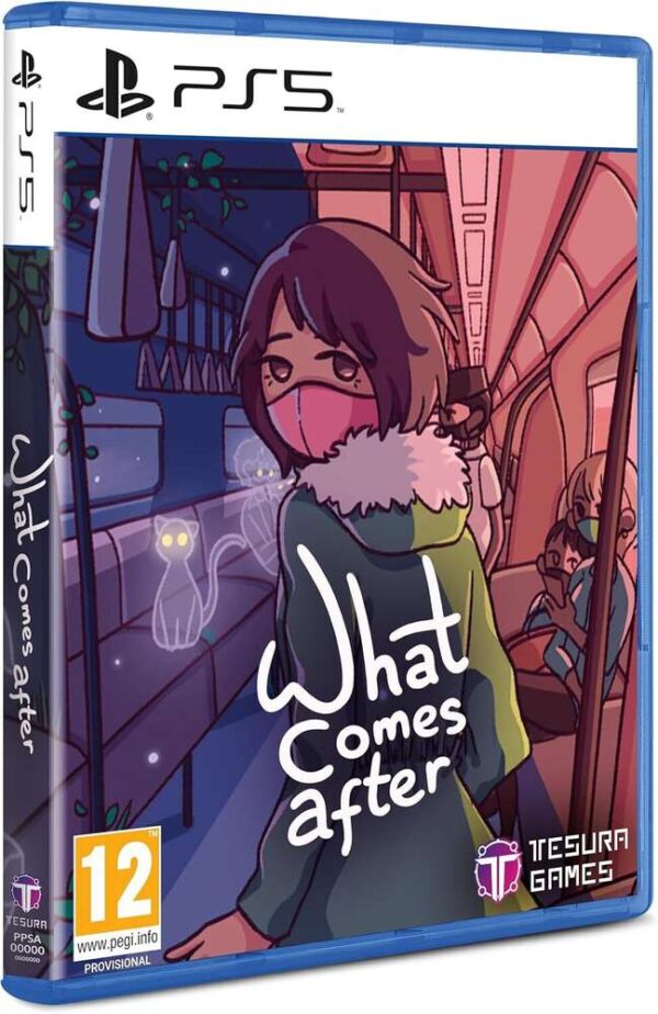 What Comes After PS5