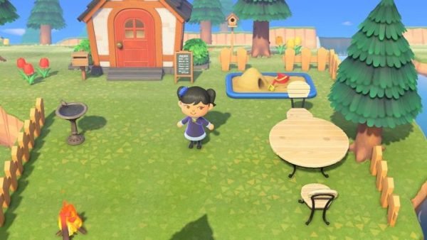 Animal Crossing New Horizons Switch 2 Edition
