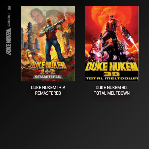 Cartucho Evercade Duke Nukem Cartucho 1
